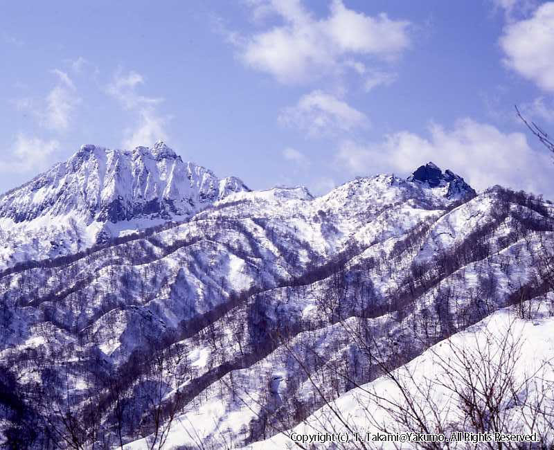 おぼこ岳・ユーラップ岳
