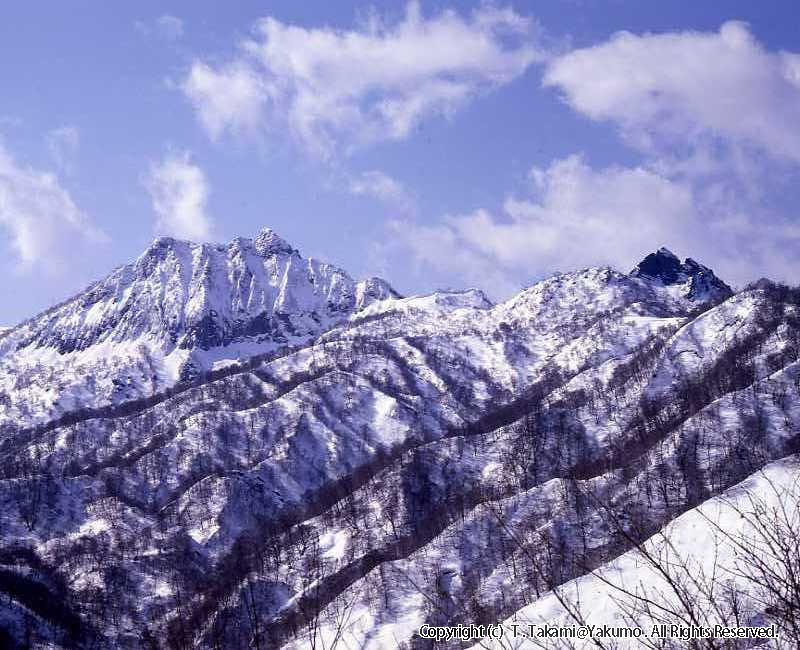 おぼこ岳・ユーラップ岳