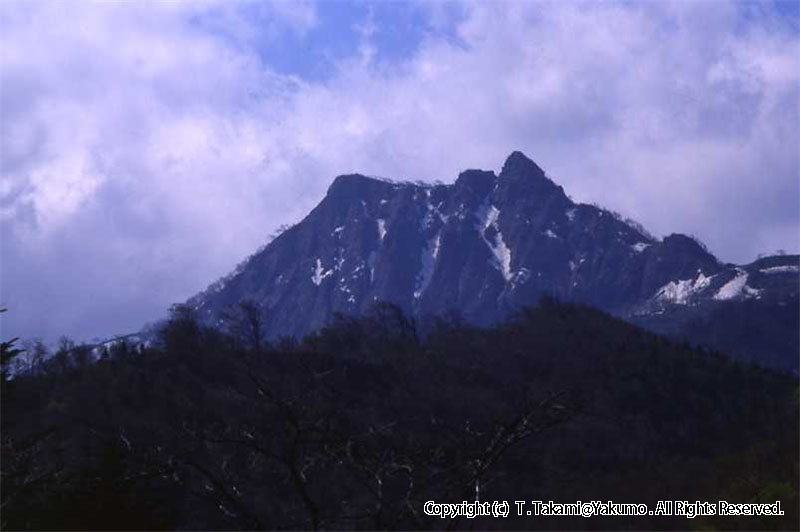 おぼこ岳