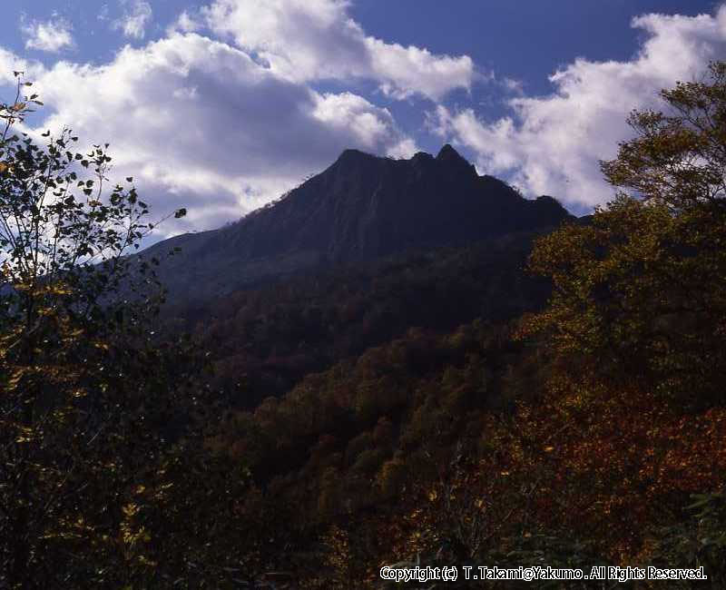 89_10 おぼこ岳紅葉