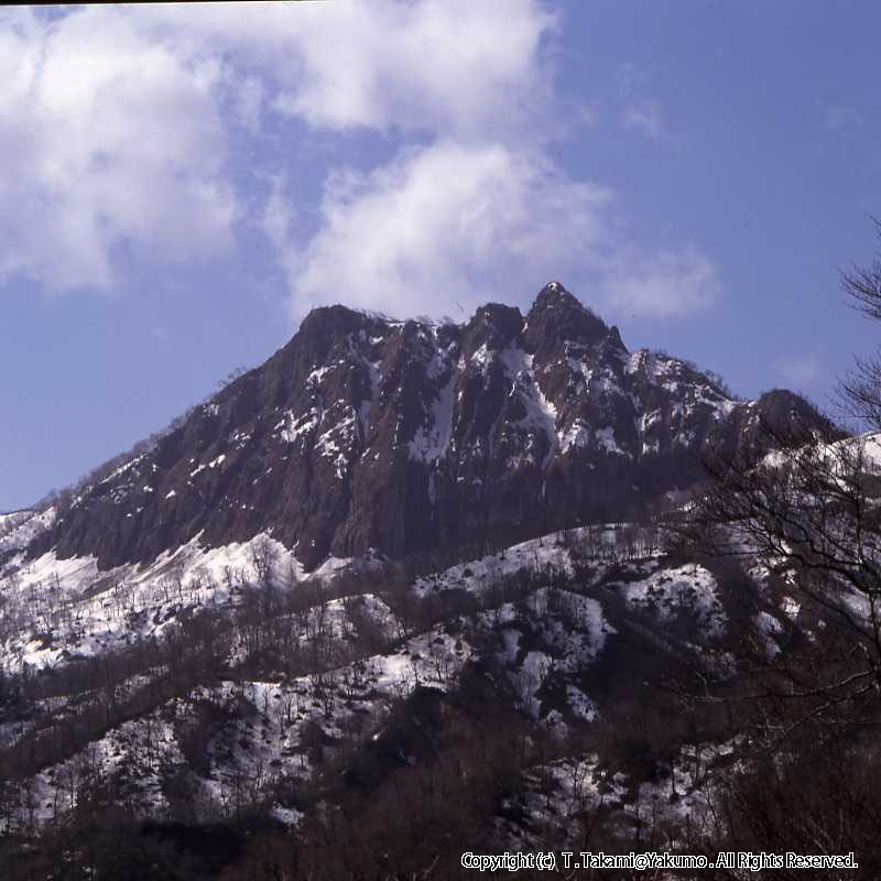 90_04　おぼこ岳　残雪