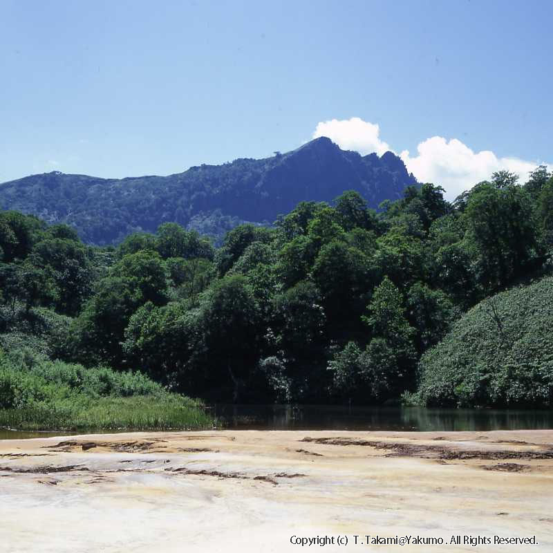 90_08　おぼこ岳　山美湖　10号沢滝他