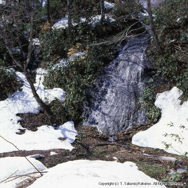 91_04　おぼこ岳、双子滝