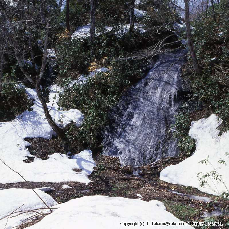 91_04　おぼこ岳、双子滝