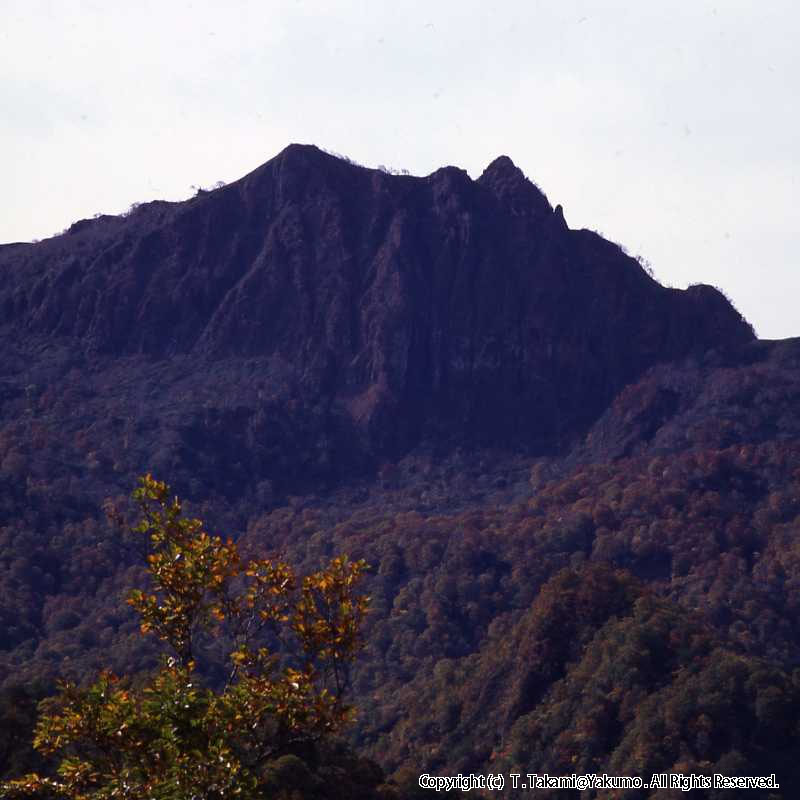 おぼこ岳の紅葉