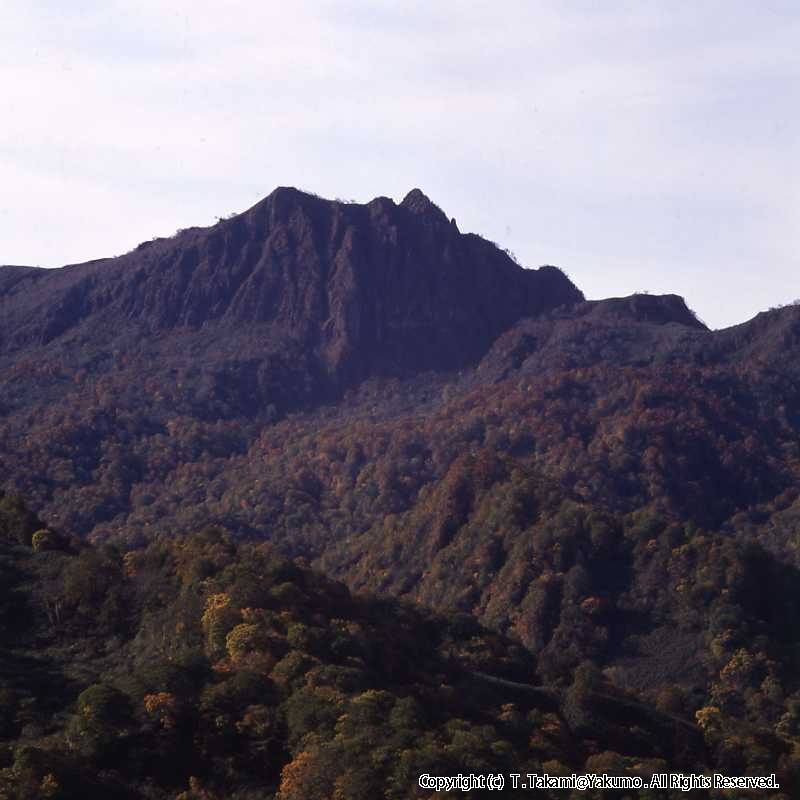 おぼこ岳の紅葉