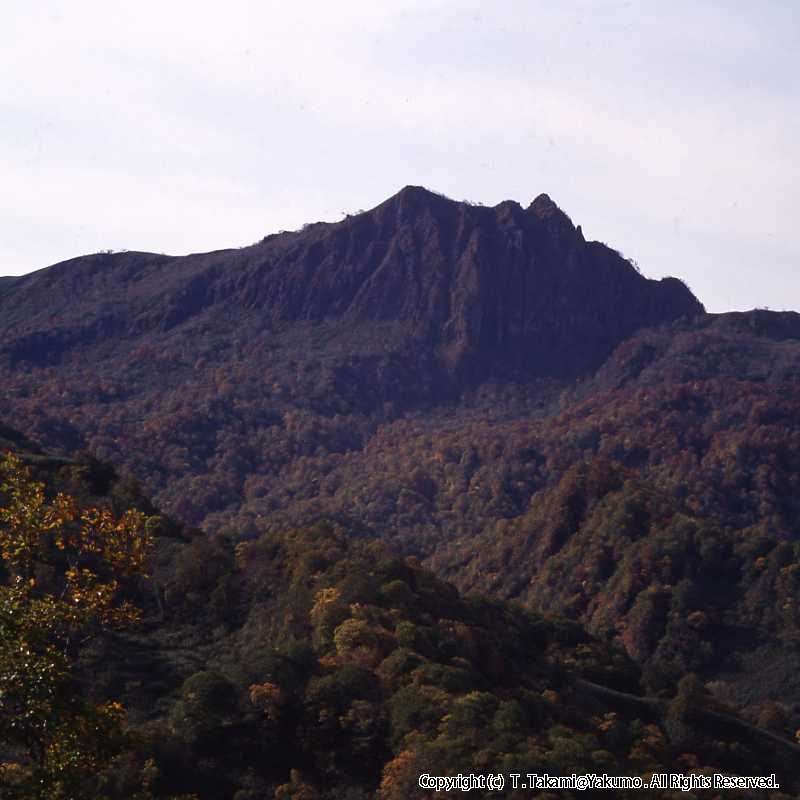 おぼこ岳の紅葉