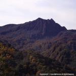 おぼこ岳の紅葉