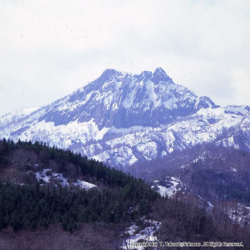 おぼこ岳