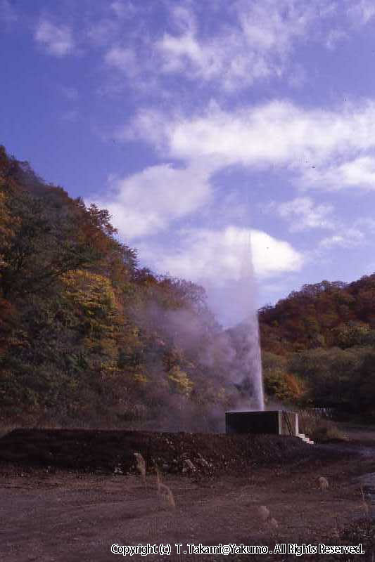 おぼこ　露天風呂　かんきつ温泉