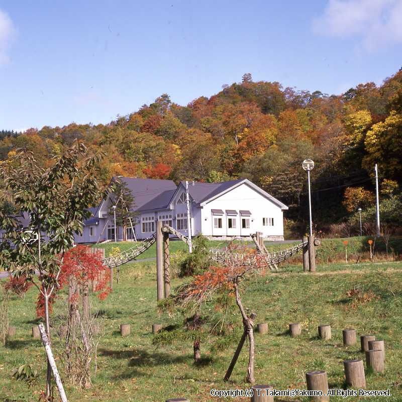 おぼこ荘付近紅葉・小牧荘