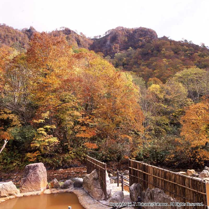 おぼこ荘付近紅葉・小牧荘