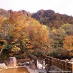 おぼこ荘付近紅葉・小牧荘