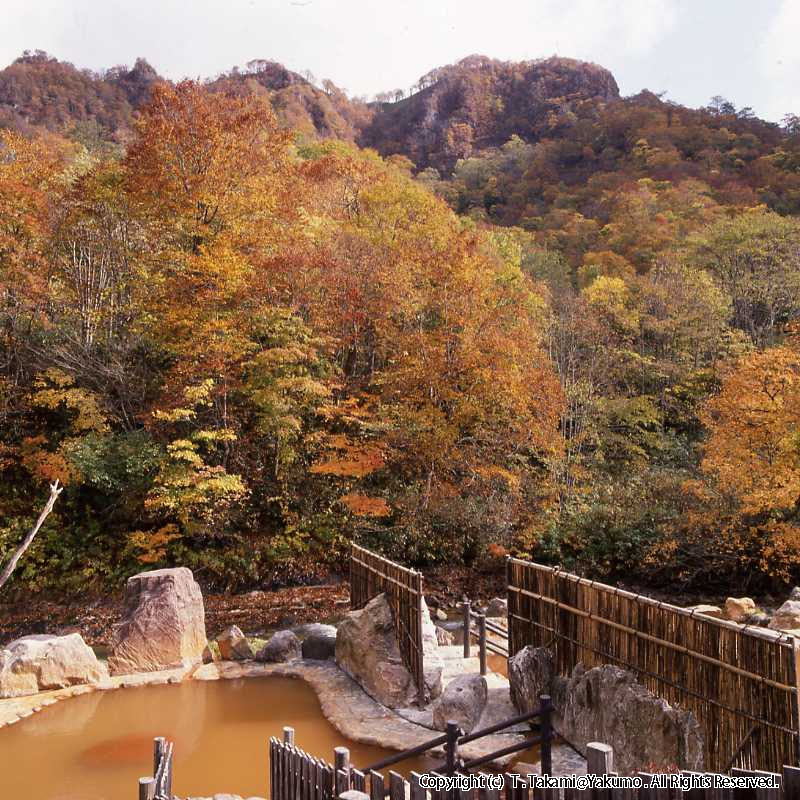 おぼこ荘付近紅葉・小牧荘