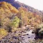 おぼこ荘付近紅葉・小牧荘