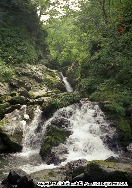 H02.08.02　オボコ山ノ家・おぼこ荘周辺