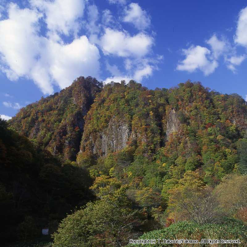 93_10　おぼこ登山口渓谷　他