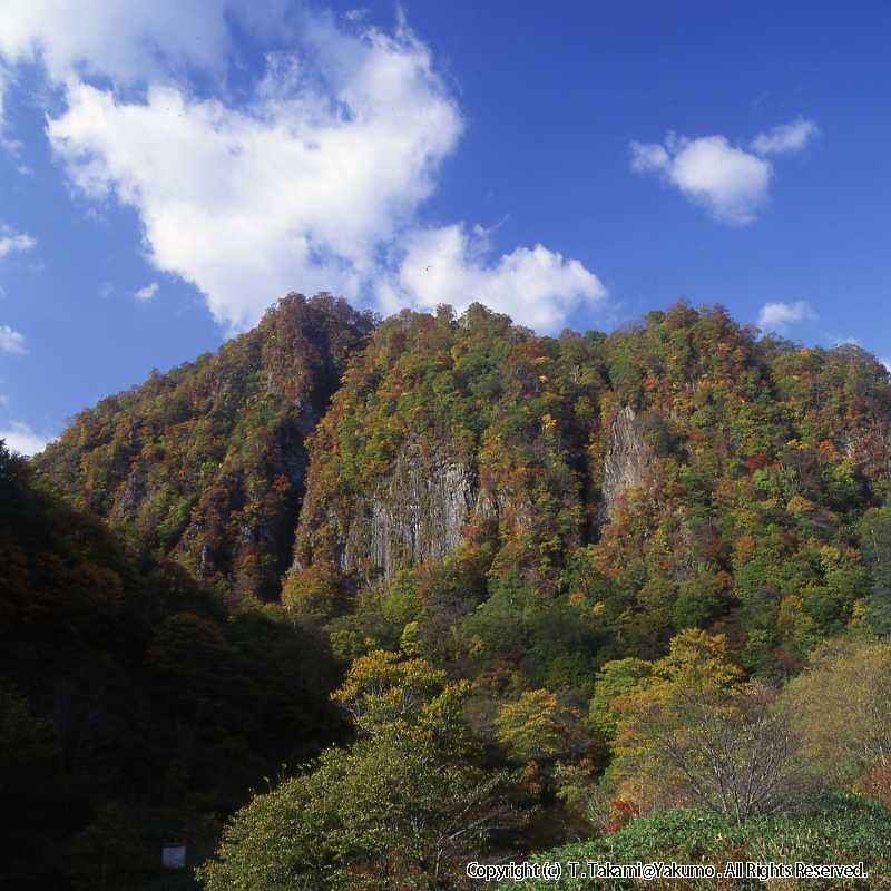 93_10　おぼこ登山口渓谷　他