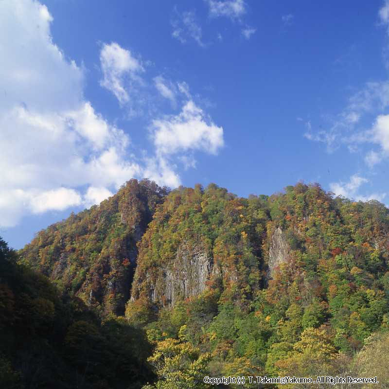 登山口渓谷