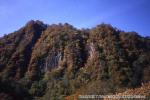 おぼこ登山口渓谷