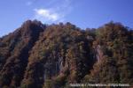 おぼこ登山口渓谷