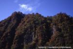 おぼこ登山口渓谷