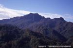 おぼこ登山口渓谷