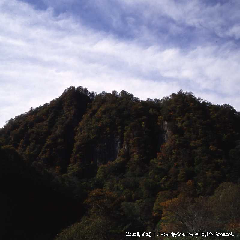 おぼこ登山口渓谷