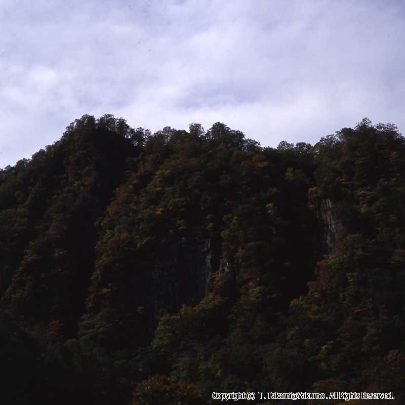 おぼこ登山口渓谷