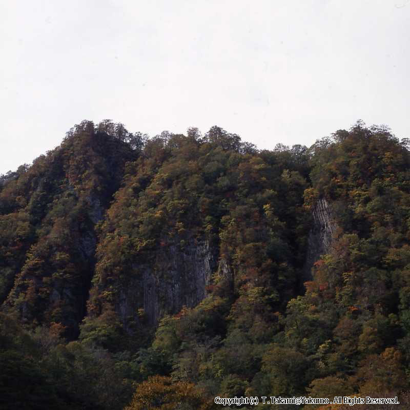 おぼこ登山口渓谷