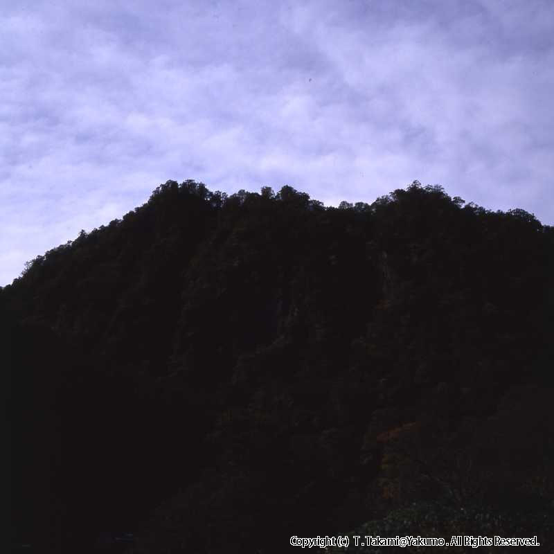 おぼこ登山口渓谷