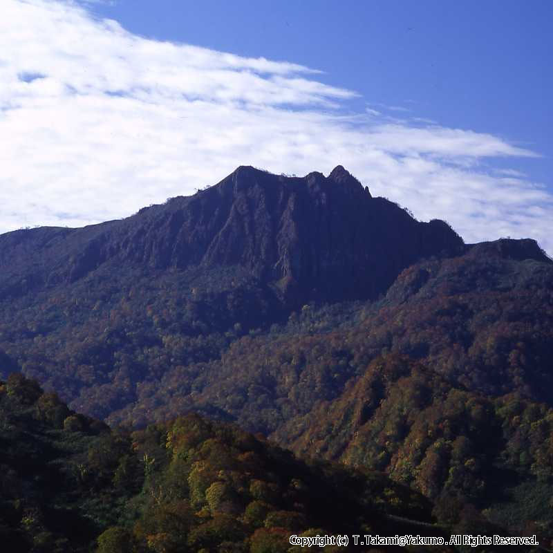 おぼこ岳紅葉