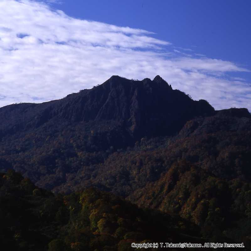 おぼこ岳紅葉