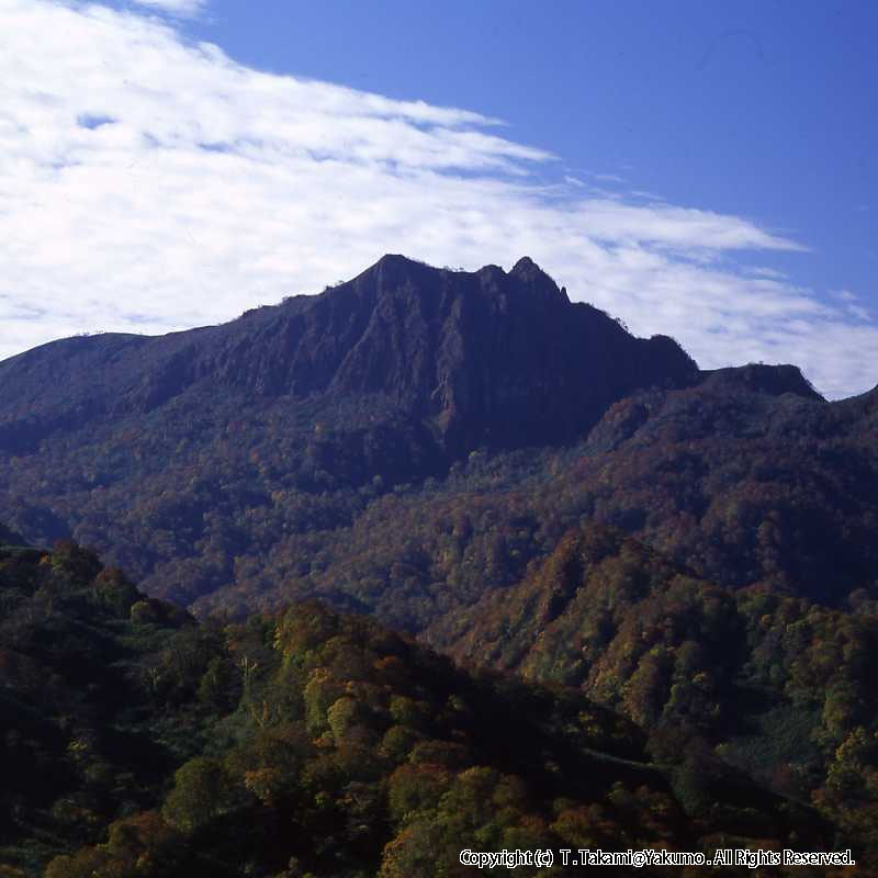 おぼこ岳紅葉