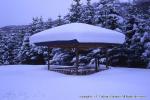 山荘　上八雲　霧氷