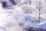 山荘　上八雲　霧氷