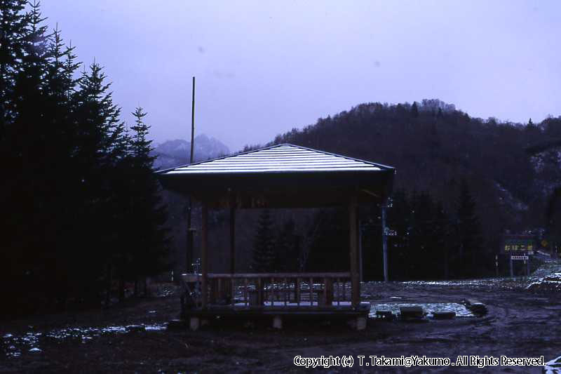 山荘　上八雲　霧氷