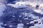 山荘　上八雲　霧氷