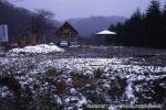 山荘　上八雲　霧氷