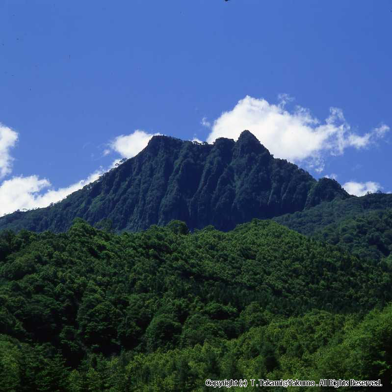 おぼこ岳