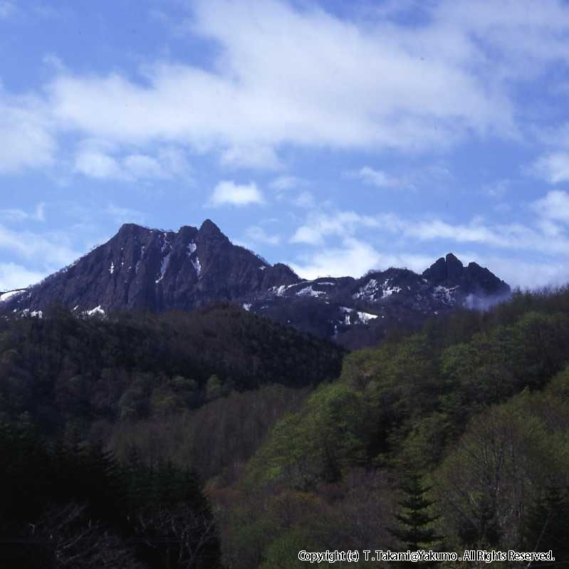 おぼこ岳