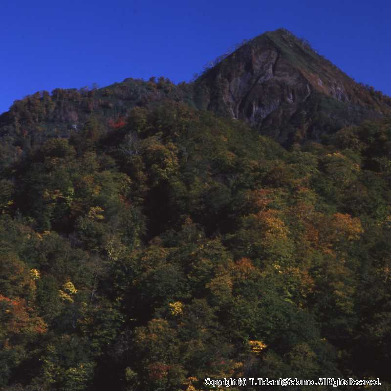 おぼこ岳　登山口渓谷