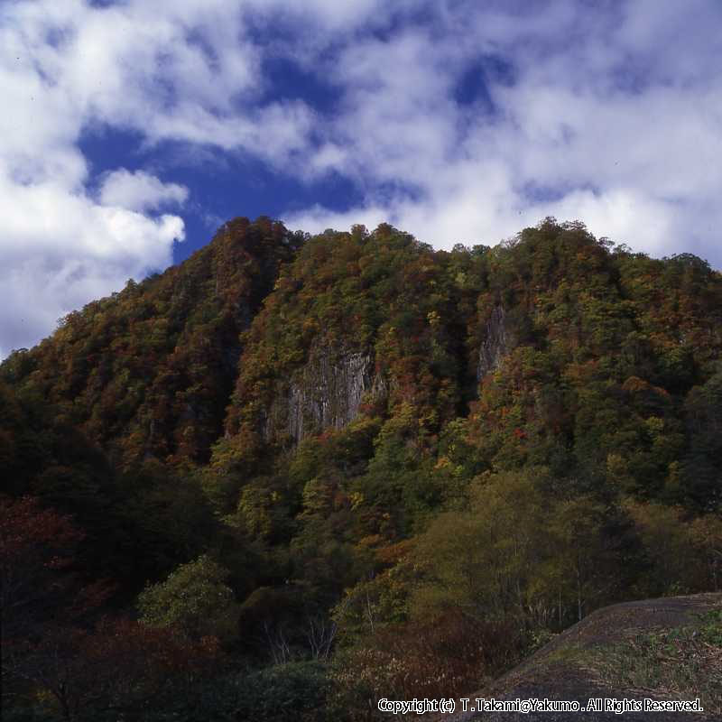 おぼこ岳　登山口渓谷