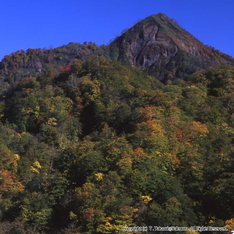 おぼこ岳　登山口渓谷