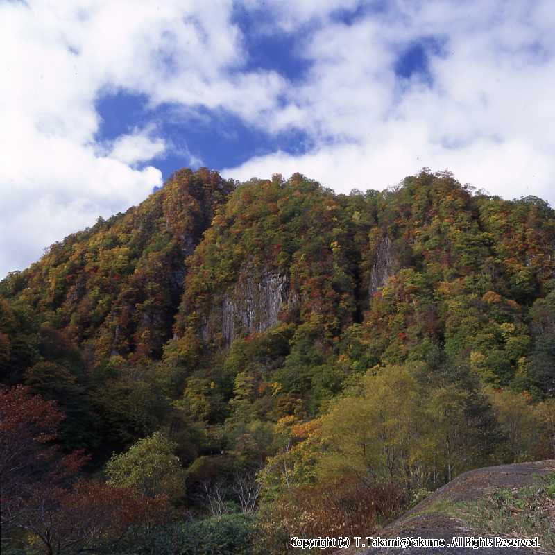 おぼこ岳　登山口渓谷