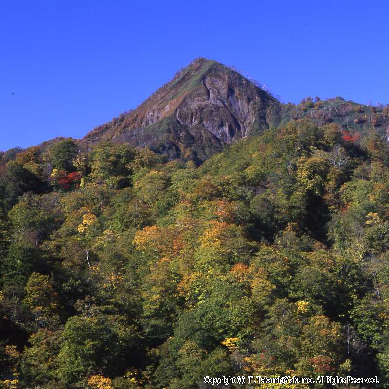 おぼこ岳　登山口渓谷