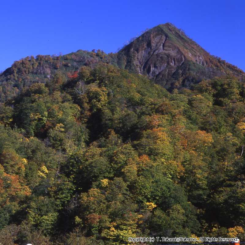 おぼこ岳　登山口渓谷