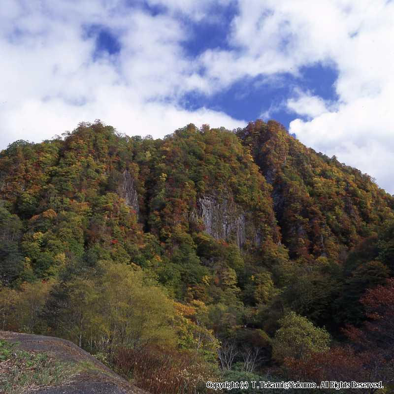 おぼこ岳　登山口渓谷