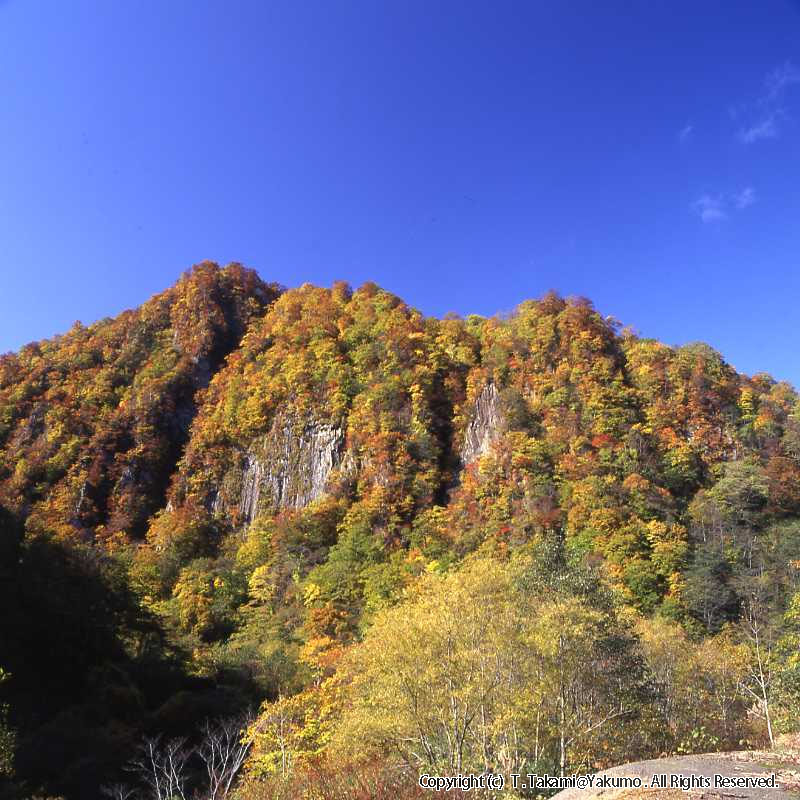 登山口渓谷