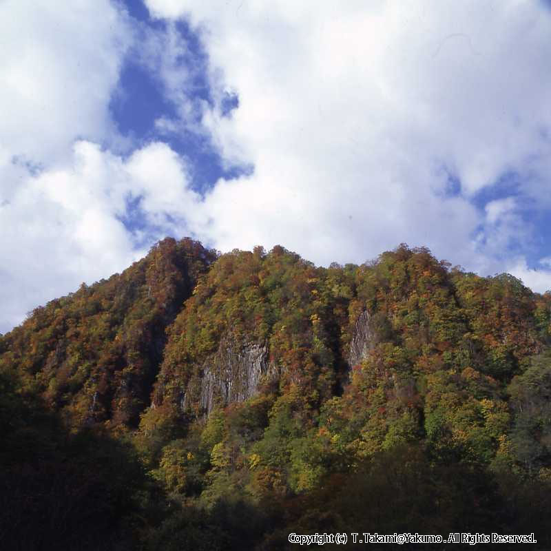 登山口渓谷